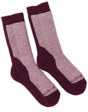 Pair of maroon and gray socks with branding on a white background
